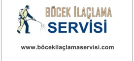 Böcek İlaçlama Servisi