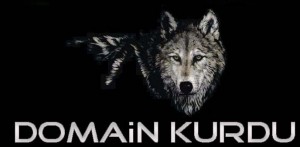 domainkurdu
