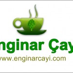 enginarcayi