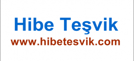 Hibe Teşvik