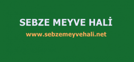 Sebze Meyve Hali