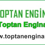 toptanenginar